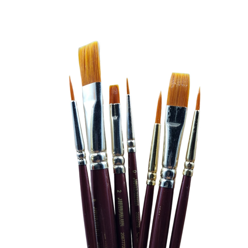 The Camlin Kokuyo Paint Brush Series 67 & Series 66