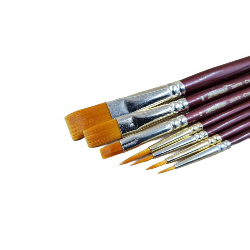 The Camlin Kokuyo Paint Brush Series 67 & Series 66