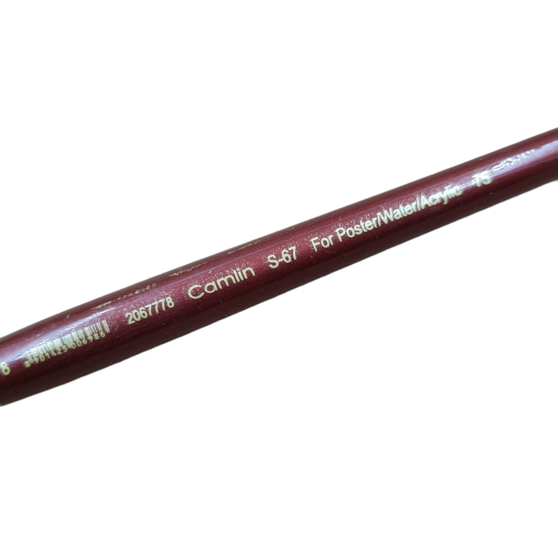 The Camlin Kokuyo Paint Brush Series 67 & Series 66